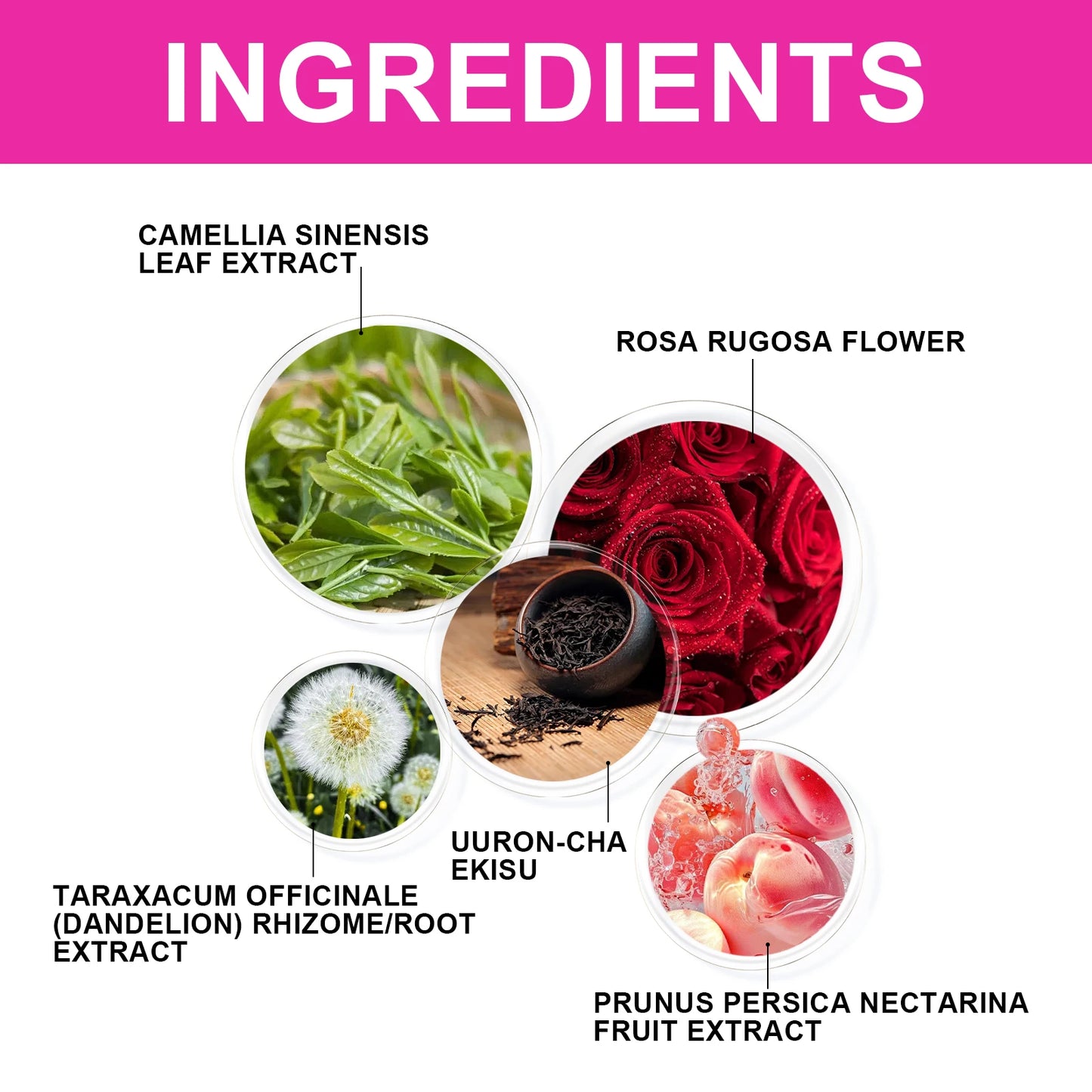 28pcs Googeer Fat-Reducing Tea Abdomen In Compact Beauty Body Accelerate Fat Breakdown Improve Metabolism Health Lithe Green Tea